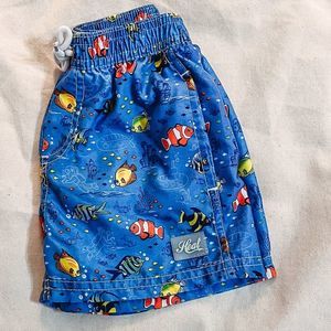 Heat Toddler Boys Blue Tropical Fish Swim Trunks Size 18 Months